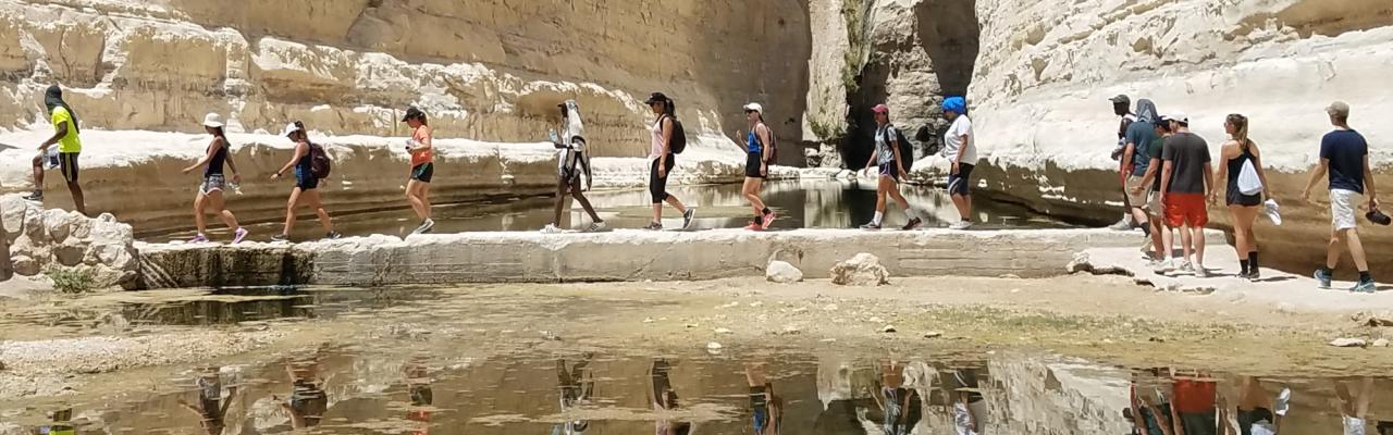 Students walking across a stone bridge over a body of water